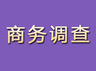 保德商务调查